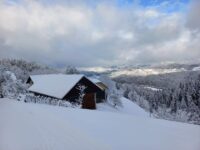 FB_IMG_1644946866323 FB_IMG_1644946866323