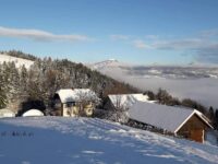 FB_IMG_1644946932083 FB_IMG_1644946932083