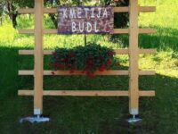 FB_IMG_1644947091626 FB_IMG_1644947091626