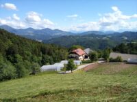 FB_IMG_1644947100292 FB_IMG_1644947100292