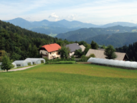 kmetija-budl-1 kmetija-budl-1